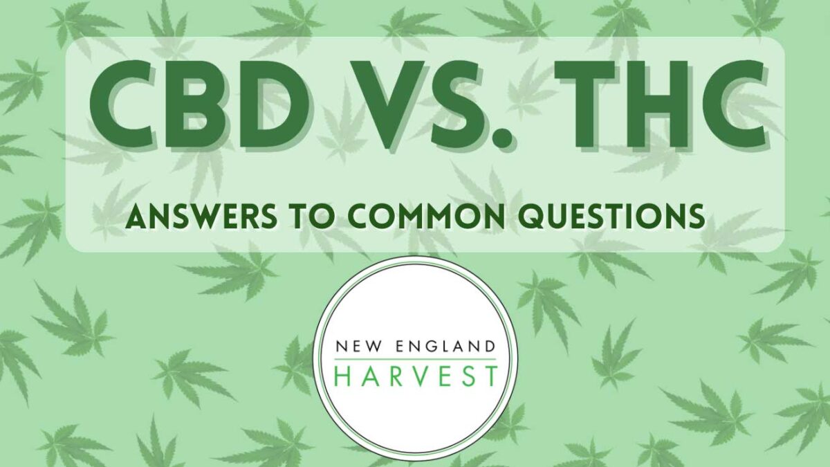 CBD vs THC - Answers to Common Questions - New England Harvest, Clinton MA