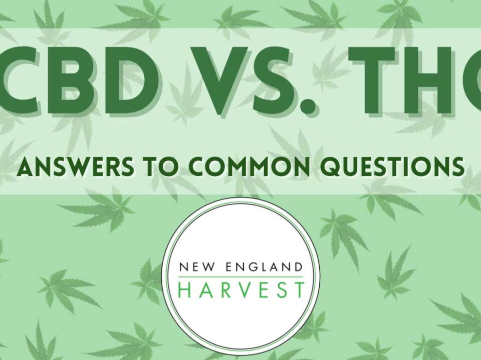 CBD vs THC - Answers to Common Questions - New England Harvest, Clinton MA