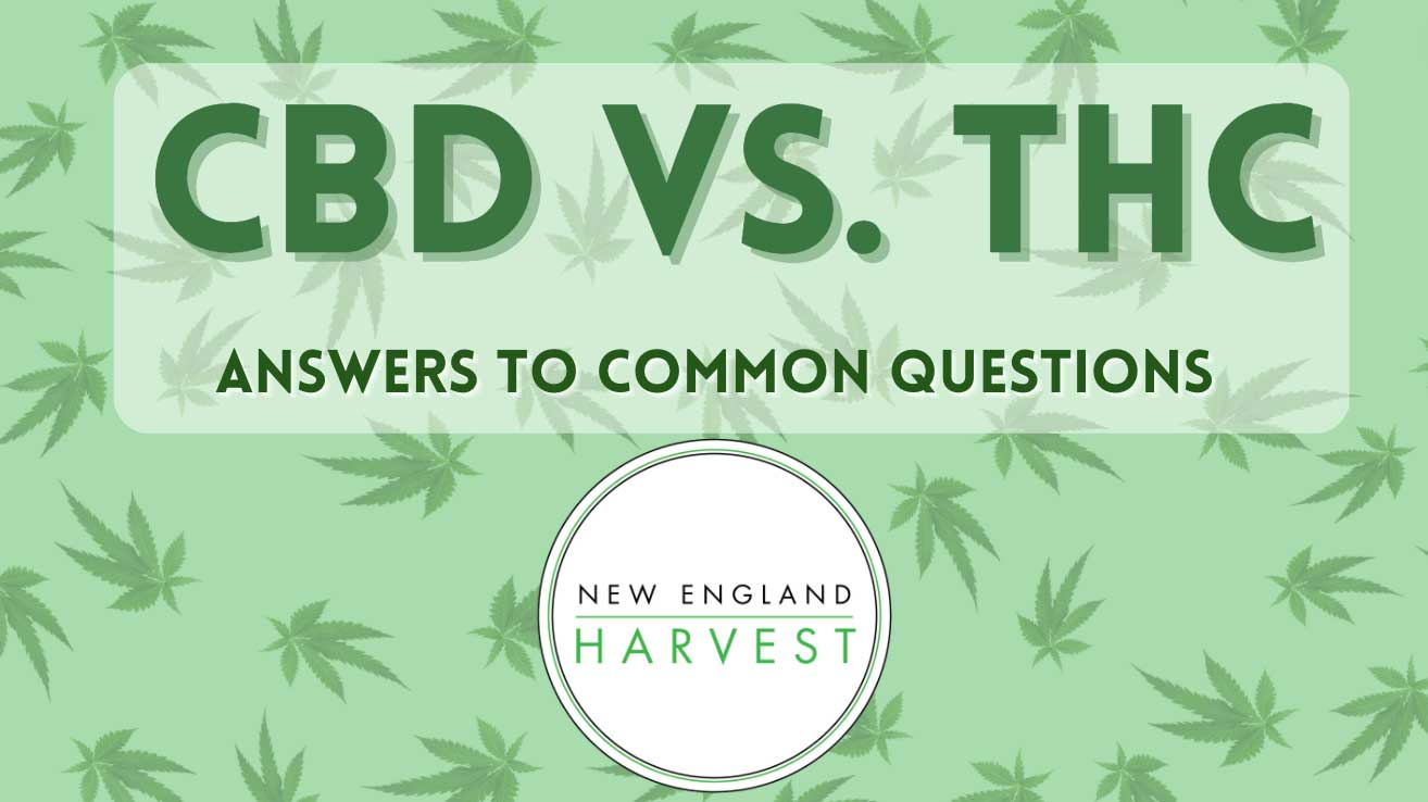 CBD vs THC - Answers to Common Questions - New England Harvest, Clinton MA