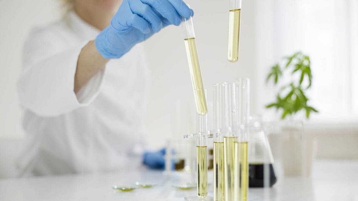 Female scientist in laboratory testing cbd oil extracted from a marijuana plant. She is using a various glass tubes and bowls for the experiment. Healthcare pharmacy from medical cannabis.