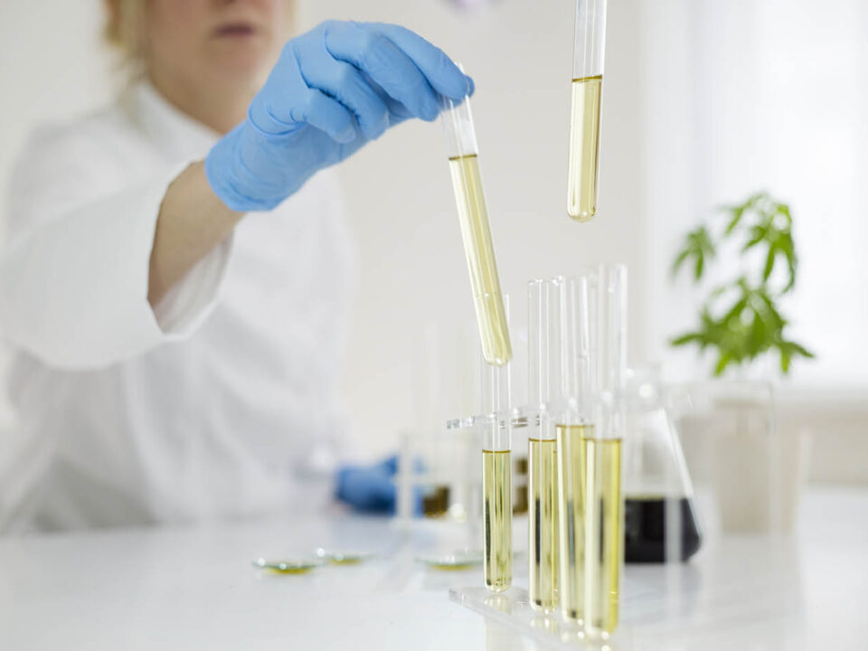 Female scientist in laboratory testing cbd oil extracted from a marijuana plant. She is using a various glass tubes and bowls for the experiment. Healthcare pharmacy from medical cannabis.