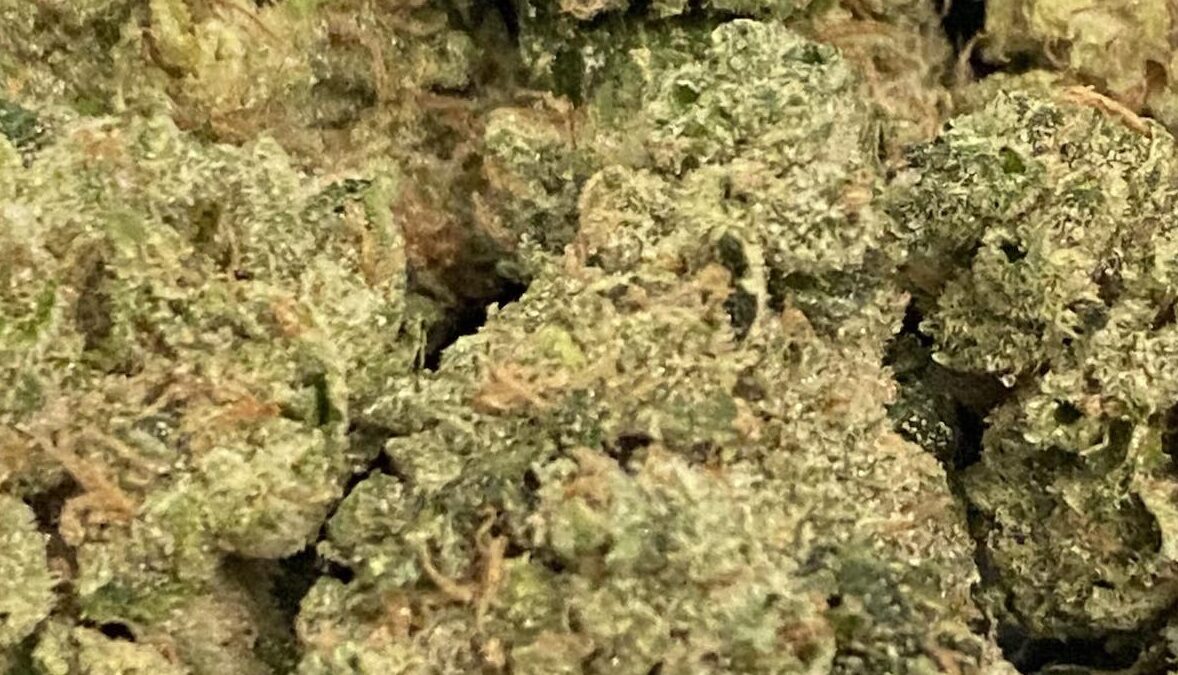 Head cracker strain - Cannabis Indica - New England Harvest Clinton, MA