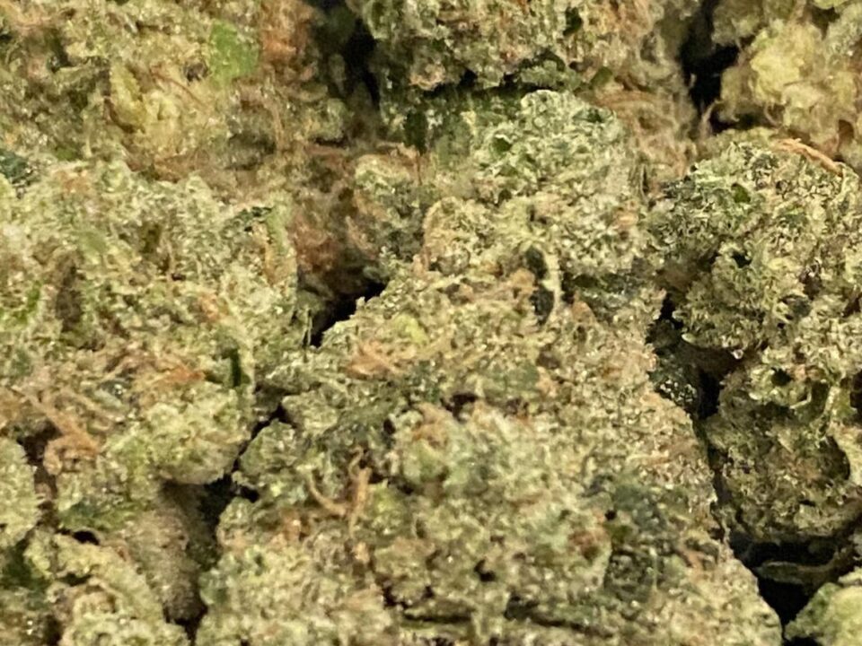 Head cracker strain - Cannabis Indica - New England Harvest Clinton, MA